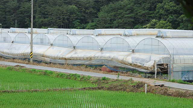어제 전북 남원 174.9mm…곳곳에서 6월 최고 강수량 경신