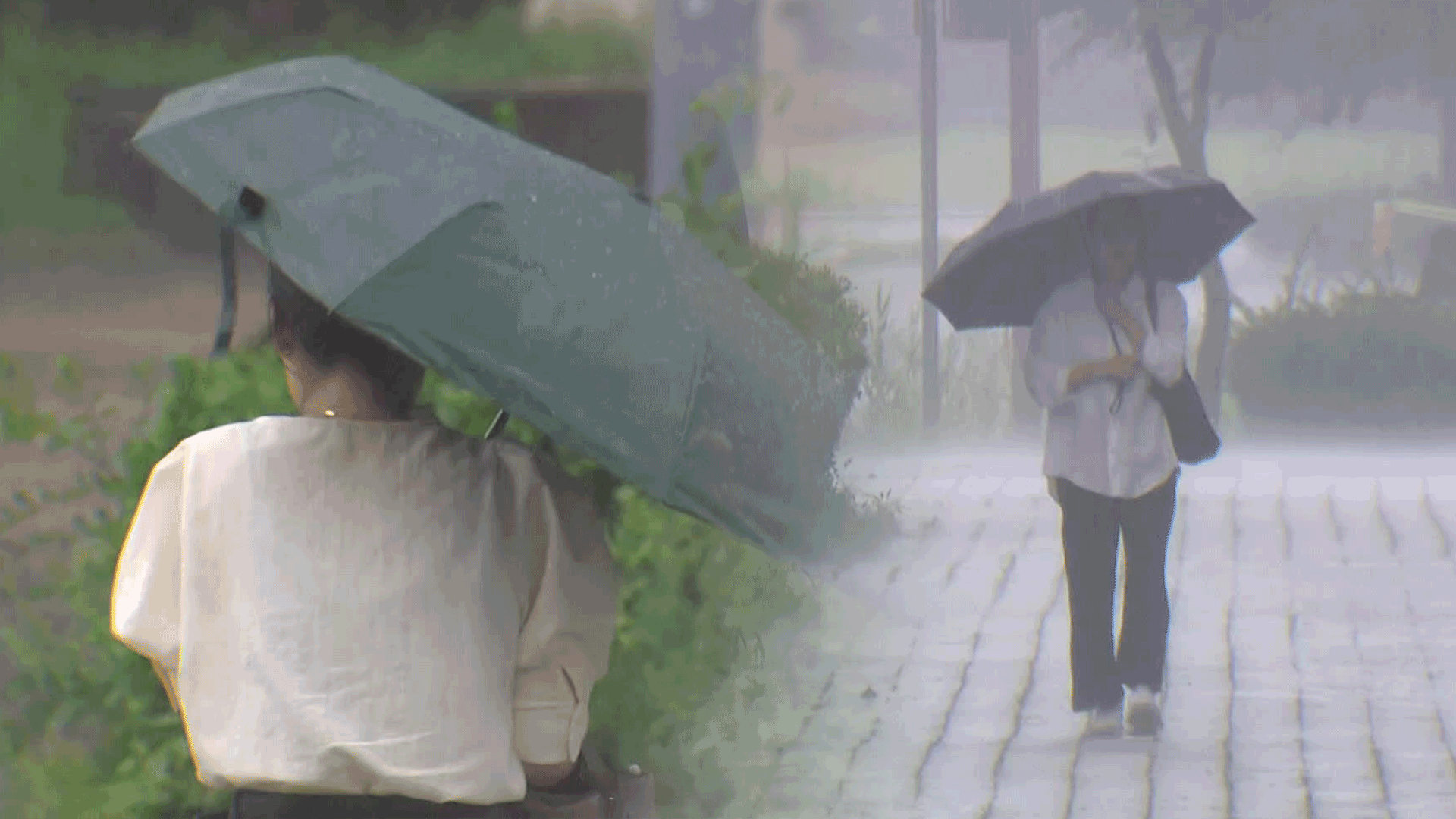 밤새 중부·호남 폭우 예보…곳곳 시간당 최대 80mm 극한 호우