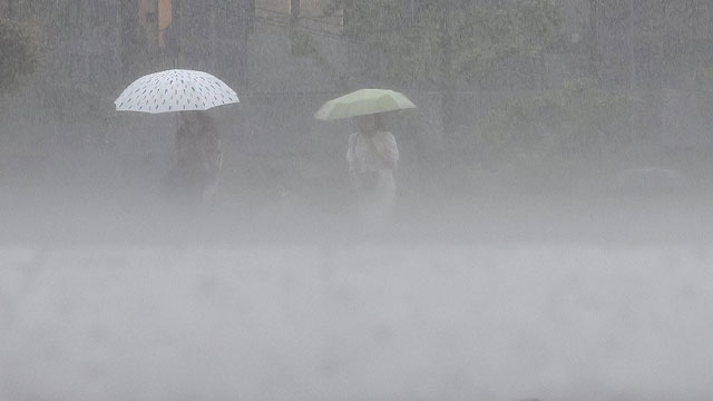 밤부터 전국 비…모레까지 최대 250mm 많은 비